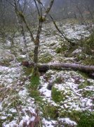 11.27.05 Nesmith Point 047 